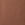 Brown Curitiba Shorts