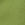 Green wide creases pants