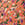 Coral botanical brushstroke dress