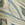 Chalk foliage dress