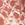 Ruched snake pattern blouse